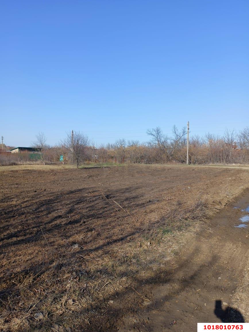 Фото №5: Личное подсобное хозяйство 4.9&nbsp;сот. - НСТ Сады Сатурна, мкр. Прикубанский внутригородской округ, ул. Виноградная