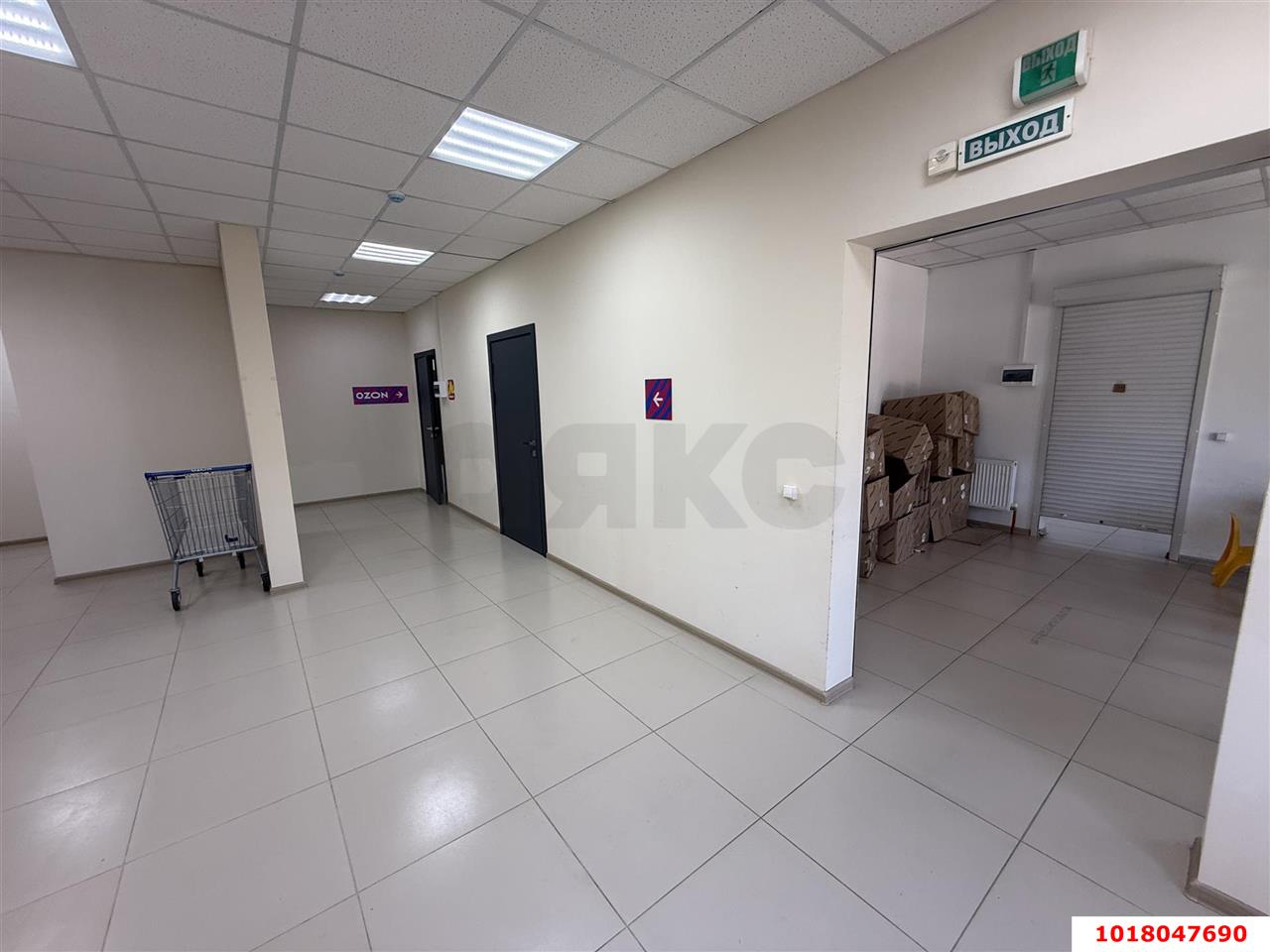 Фото №7: Торговое помещение 225&nbsp;м², 1/19&nbsp;эт. - Краснодар, Западный внутригородской округ, ЖК Октябрьский, мкр. Центральный, ул. Октябрьская, 181/2