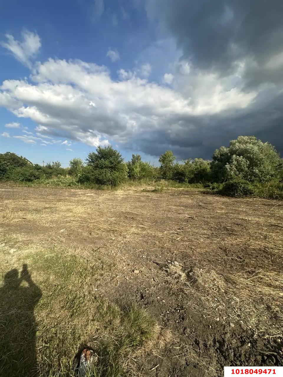 Фото №5: Личное подсобное хозяйство 8&nbsp;сот. - Елизаветинская, Прикубанский внутригородской округ, мкр. СНТ Голубая Нива, ул. Грушёвая, 133