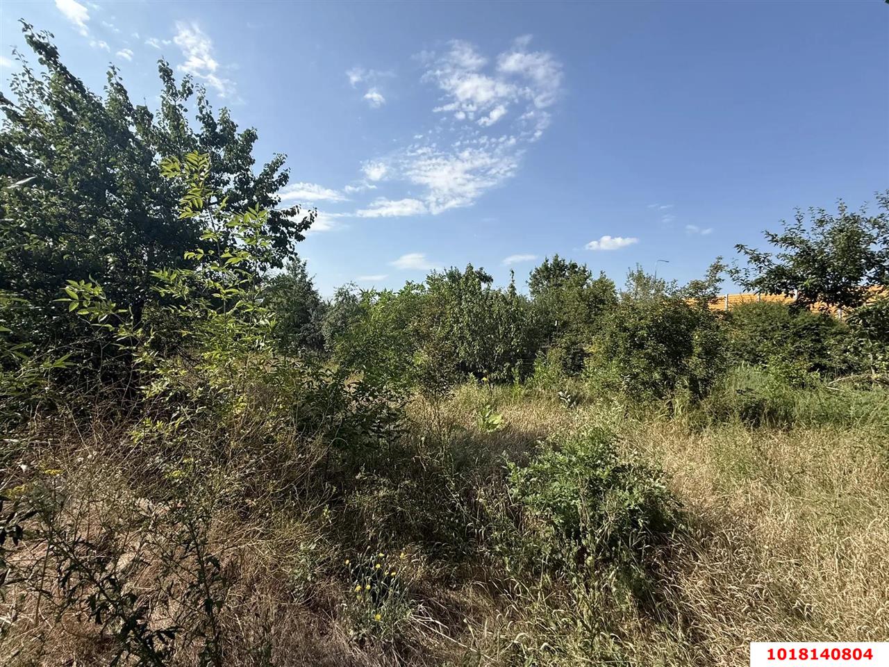 Фото №8: Личное подсобное хозяйство 4&nbsp;сот. - Берёзка, мкр. Прикубанский внутригородской округ, ул. Центральная, 5