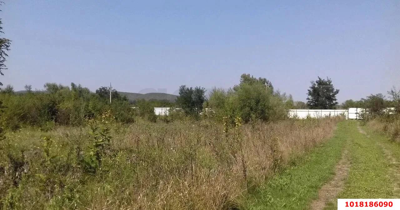Фото №2: Коммерческая земля 232&nbsp;сот. - Краснодарский край Северский район