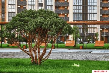 Фото №1: 1-комнатная квартира 40&nbsp;м², 18/19&nbsp;эт. - Краснодар, мкр. Образцово, ул. Адмирала Макарова, 5
