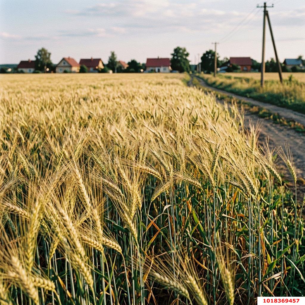 Фото №7: Земельный участок под ИЖС 1096.65&nbsp;сот. - Индустриальный, Прикубанский внутригородской округ, мкр. КП Вишня, ул. Багратионовская, 23Д