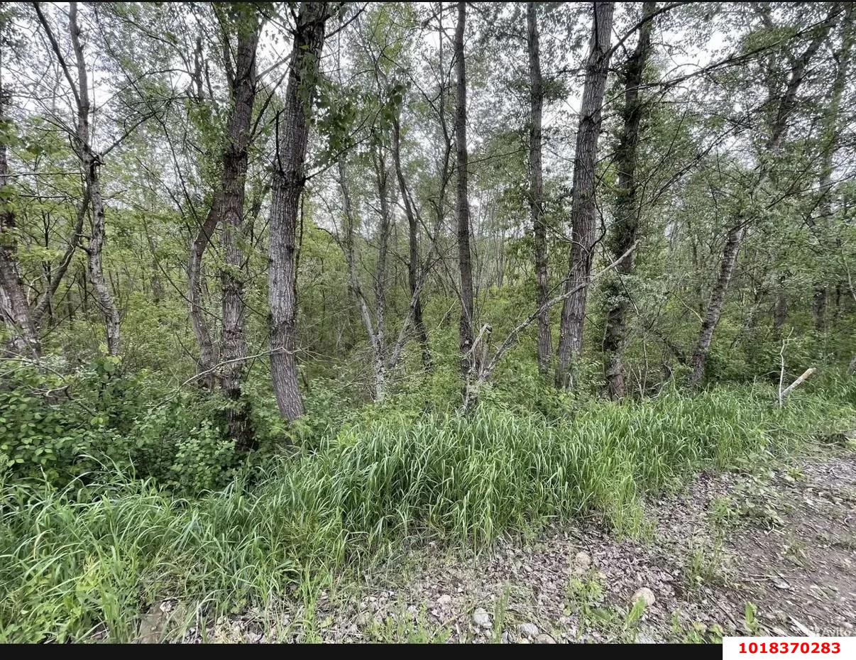 Фото №1: Коммерческая земля 8.29&nbsp;сот. - 