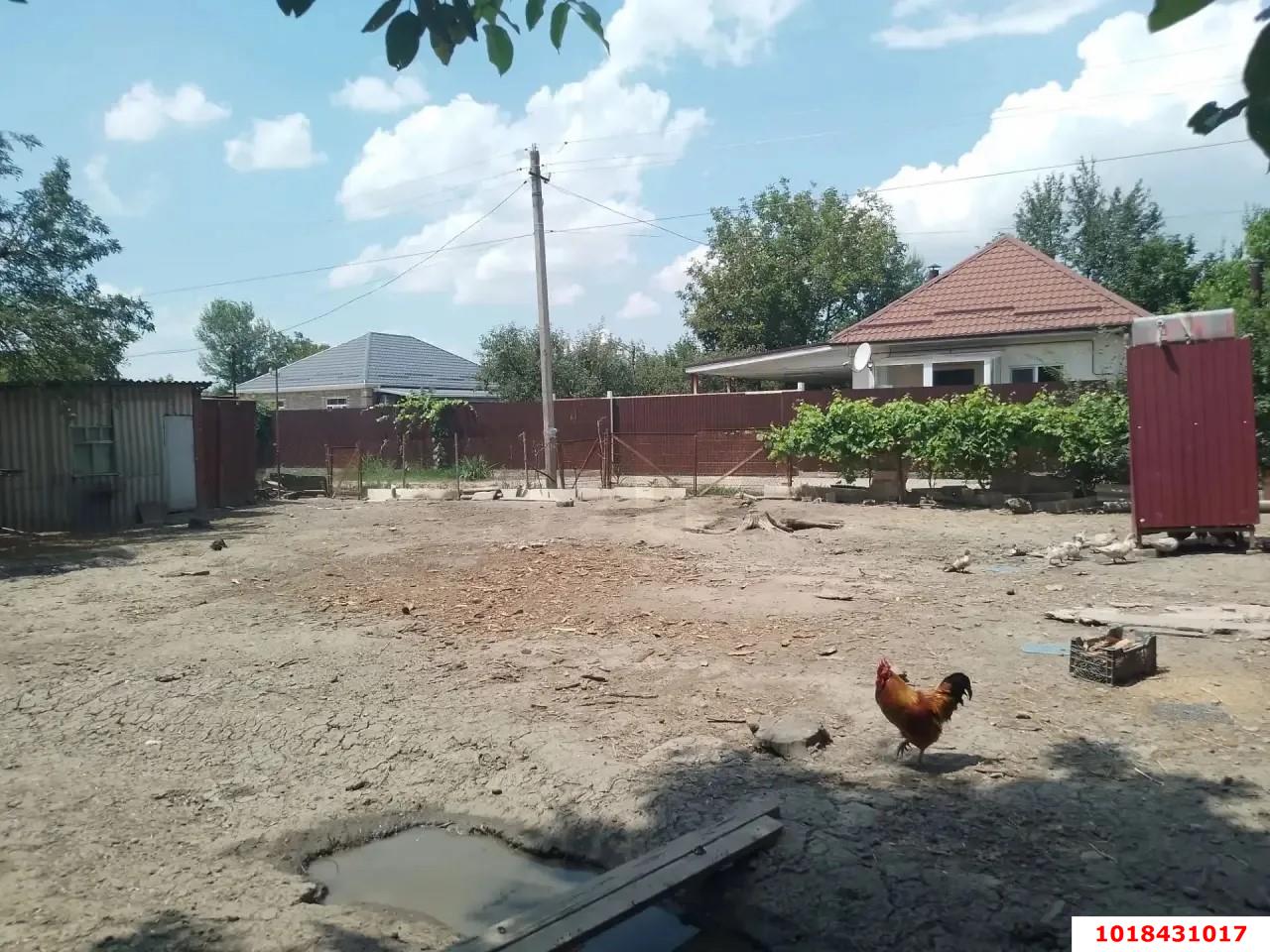 Фото №2: Личное подсобное хозяйство 6&nbsp;сот. - Елизаветинская, Прикубанский внутригородской округ, мкр. СНТ Горизонт, ул. Малиновая, 261