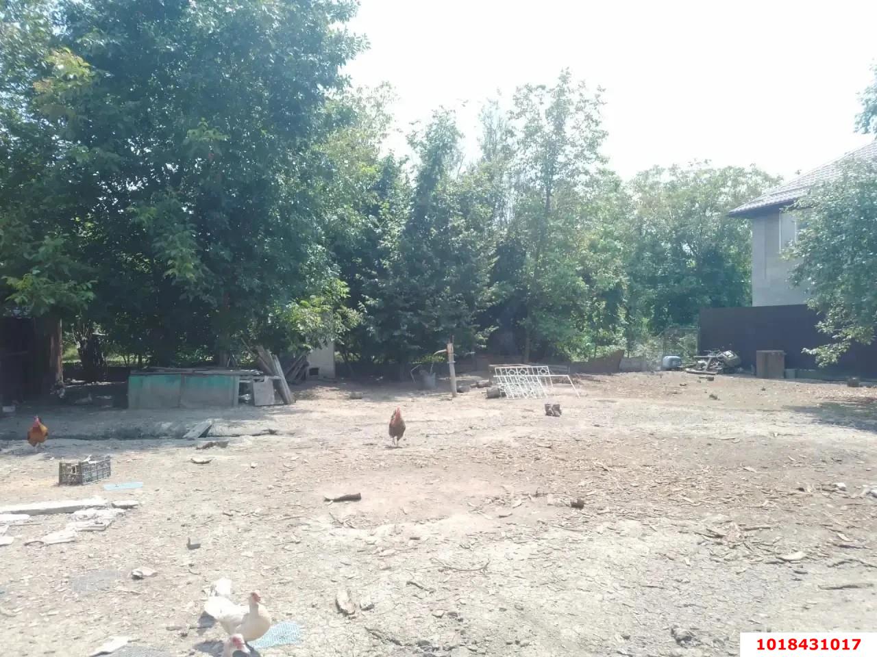 Фото №3: Личное подсобное хозяйство 6&nbsp;сот. - Елизаветинская, Прикубанский внутригородской округ, мкр. СНТ Горизонт, ул. Малиновая, 261