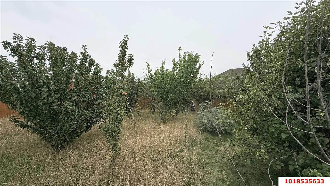 Фото №4: Личное подсобное хозяйство 4.9&nbsp;сот. - Краснодар, Прикубанский внутригородской округ, мкр. СНТ Надежда, ул. Заречная