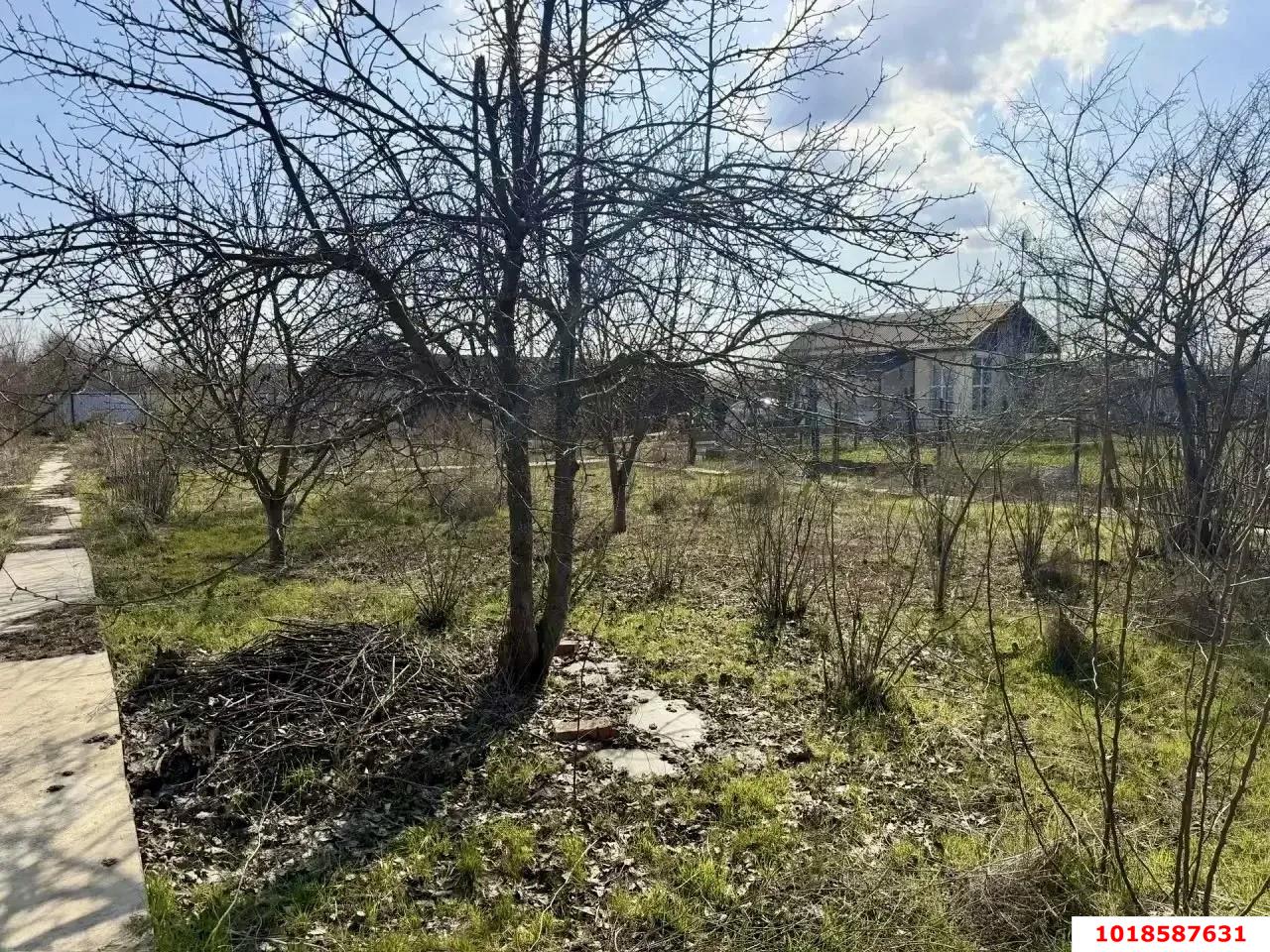 Фото №6: Личное подсобное хозяйство 9.7&nbsp;сот. - Янтарь, мкр. Карасунский внутригородской округ, ул. Янтарная, 156