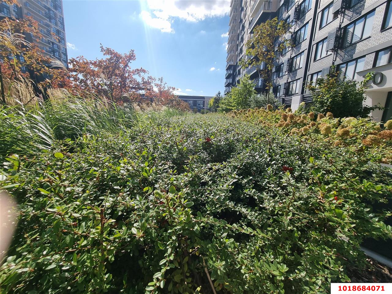 Фото №7: Студия 45&nbsp;м², 8/16&nbsp;эт. - Краснодар, Центральный внутригородской округ, мкр. Черёмушки, ул. Обрывная, 132/1к19