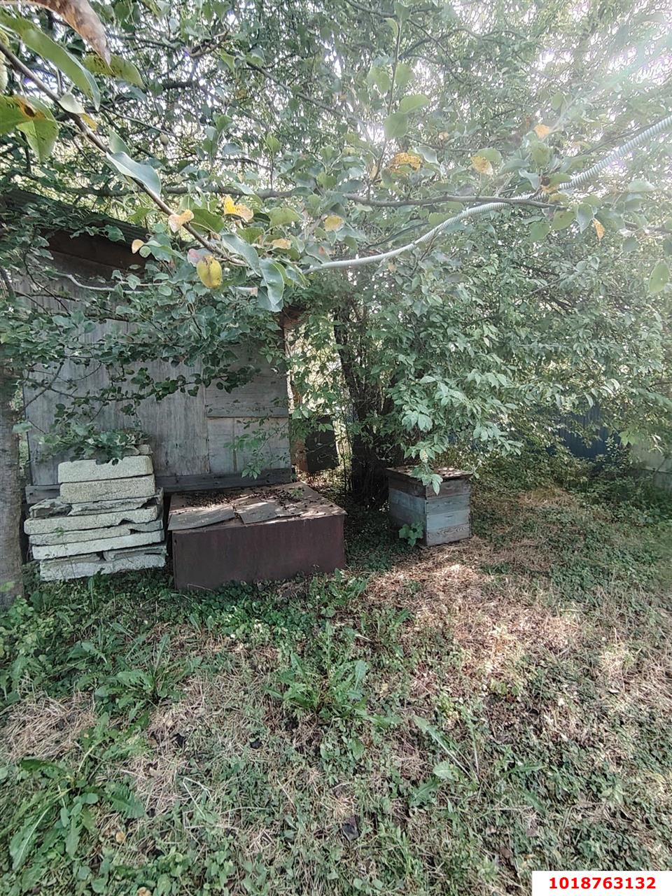Фото №5: Личное подсобное хозяйство 4&nbsp;сот. - Урожайное, мкр. Карасунский внутригородской округ, ул. Алычёвая, 61