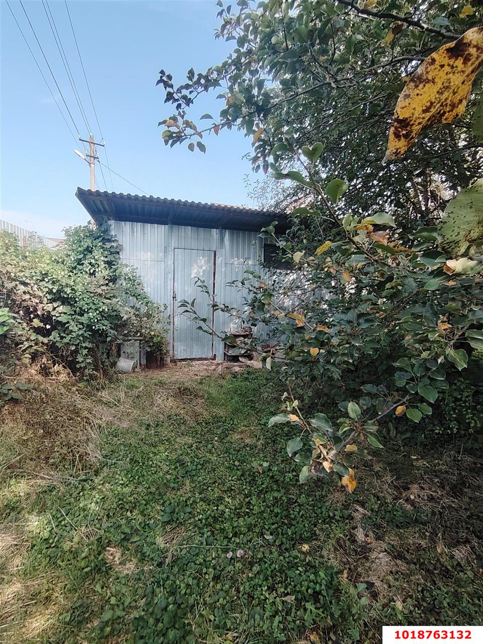 Фото №4: Личное подсобное хозяйство 4&nbsp;сот. - Урожайное, мкр. Карасунский внутригородской округ, ул. Алычёвая, 61