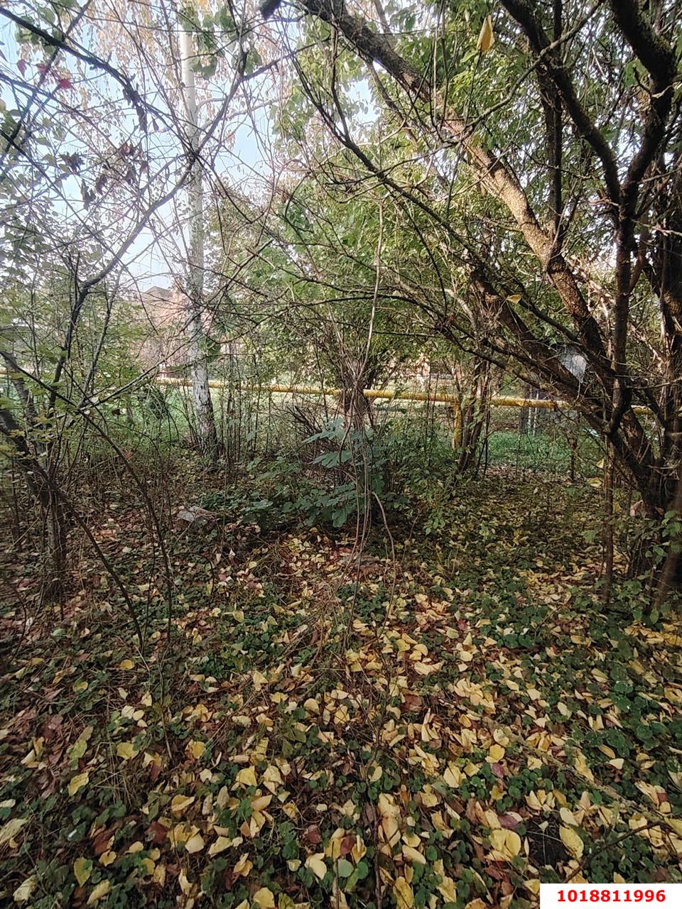 Фото №10: Личное подсобное хозяйство 9.48&nbsp;сот. - СНТ Радуга, мкр. Прикубанский внутригородской округ, ул. Промежуточная, 207