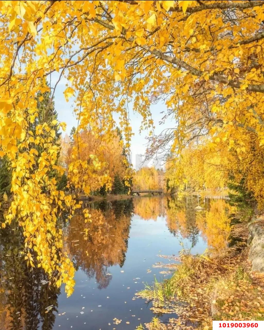Фото №12: Дом 56&nbsp;м² + 4.18&nbsp;сот., 1&nbsp;эт. - Елизаветинская, Прикубанский внутригородской округ, мкр. СНТ Электрик, ул. Виноградная, 189