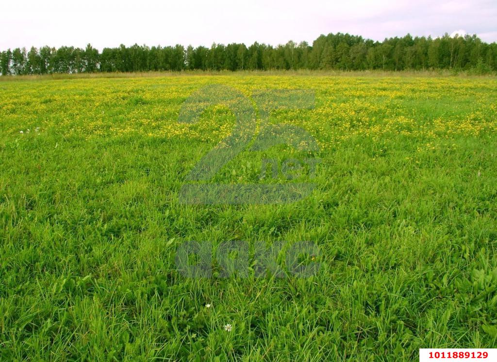 Фото №3: Коммерческая земля 200 сот. - Старокорсунская, Карасунский внутригородской округ, ул. Краснодарская, 3