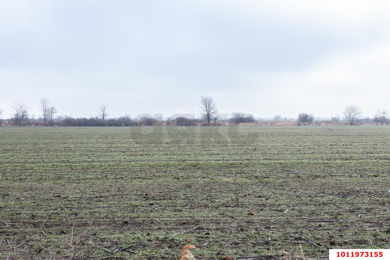 Фото №10: Коммерческая земля 574&nbsp;сот. - Энем, ул. Чкалова, 17