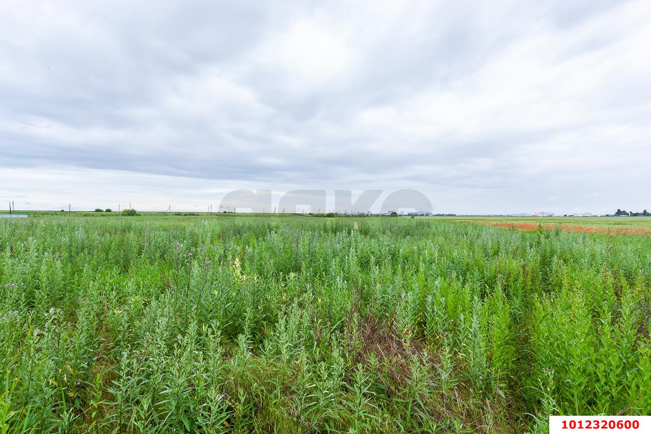 Фото №6: Земельный участок под ИЖС 140 сот. - Краснодар, Карасунский внутригородской округ, 