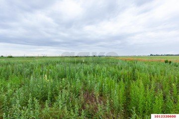 Фото №5: Земельный участок под ИЖС 140 сот. - Краснодар, мкр. Карасунский внутригородской округ, 