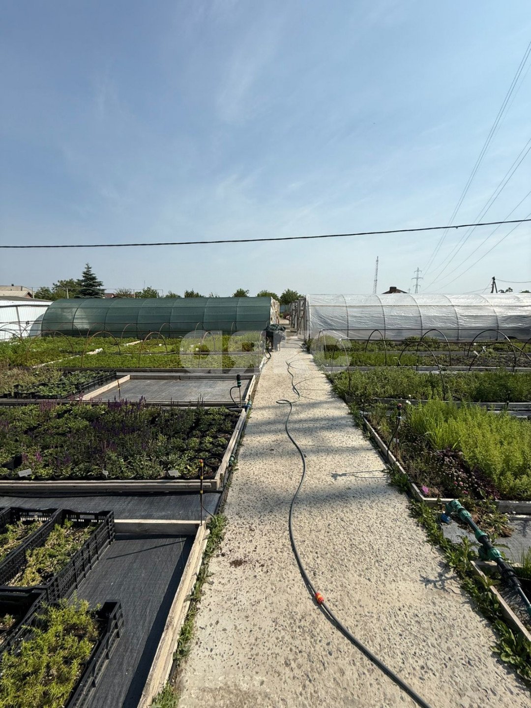 Фото №10: Коммерция 1000&nbsp;м², 1/1&nbsp;эт. - Николаевка, ул. Петровская, 100
