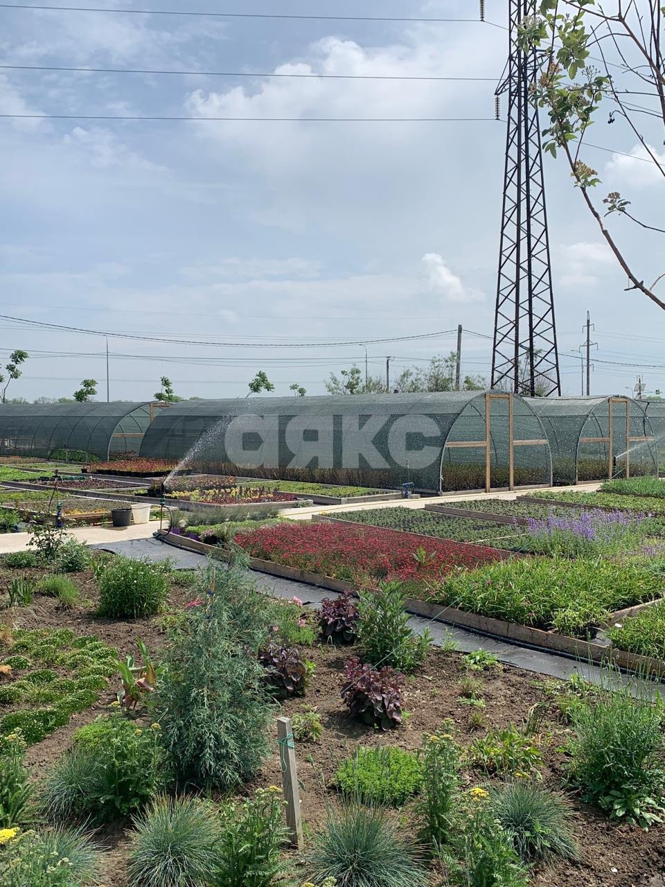 Фото №25: Коммерция 1000&nbsp;м², 1/1&nbsp;эт. - Николаевка, ул. Петровская, 100
