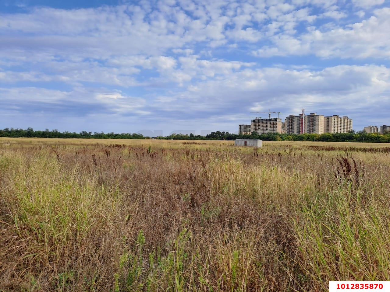 Фото №3: Личное подсобное хозяйство 4&nbsp;сот. - Краснодар, мкр. Прикубанский внутригородской округ