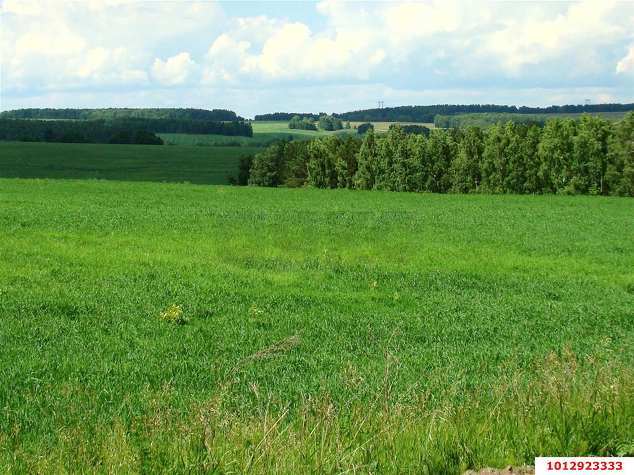 Фото №2: Личное подсобное хозяйство 20 сот. - Восточный, ул. Некрасова, 13