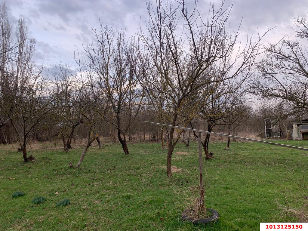 Фото №4: Земельный участок под ИЖС 12.5&nbsp;сот. - Отрадный, ул. Павлова, 6/3