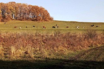 Фото №4: Земельный участок под ИЖС 8.7 сот. - Платнировская, ул. Северная, 2