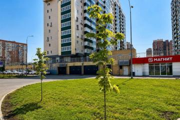 Фото №1: Торговое помещение 181&nbsp;м², 1/1&nbsp;эт. - Краснодар, мкр. Участок № 35, ул. имени Дмитрия Благоева, 29к1