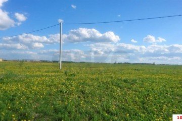 Фото №3: Участок садоводство 9.57 сот. - Лотос, мкр. Прикубанский внутригородской округ, ул. Яблоневая, 82