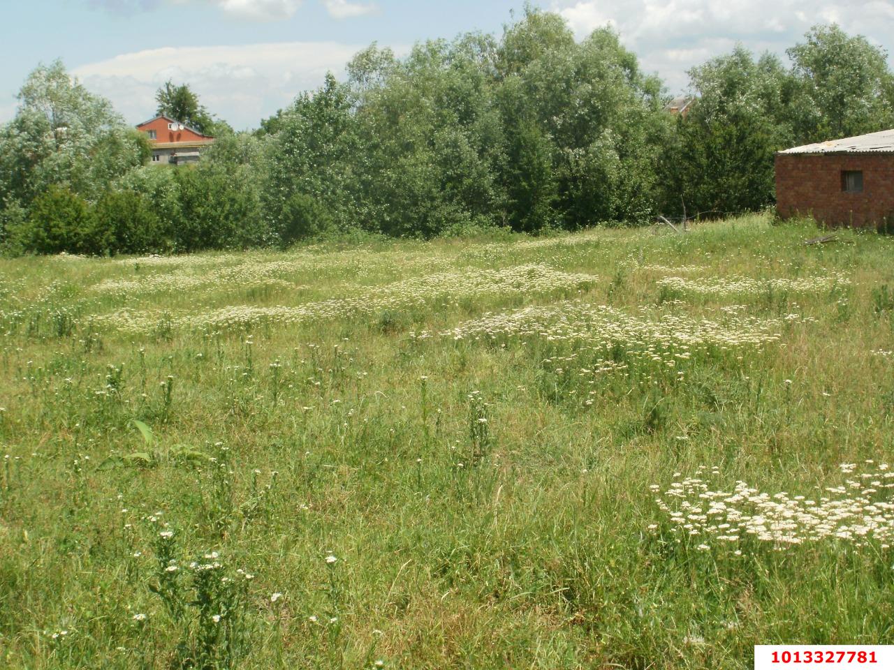 Фото №6: Земельный участок под ИЖС 80 сот. - Смоленская, ул. Бездорожная, 10