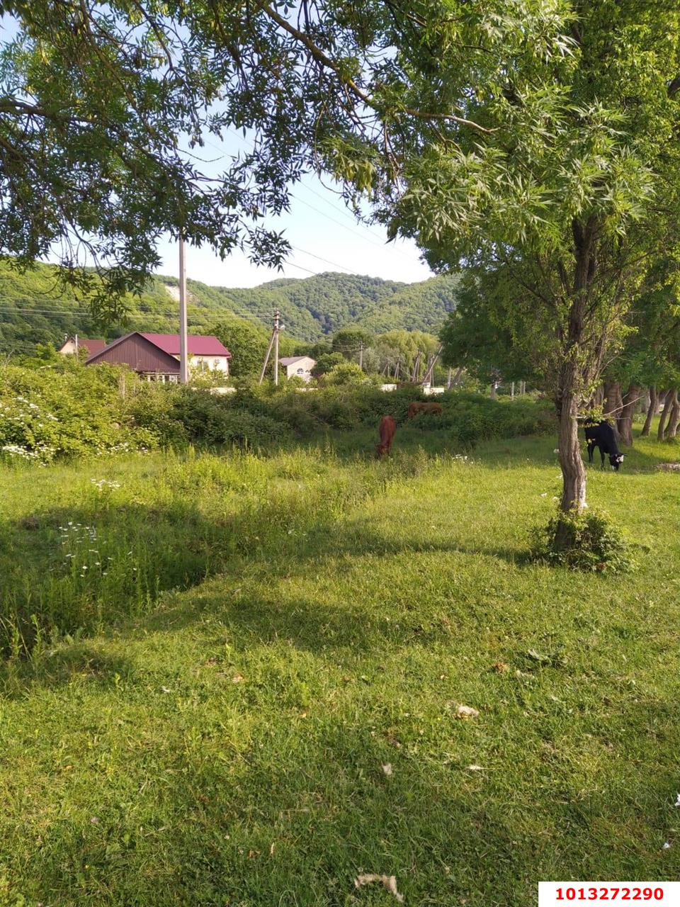 Фото №7: Земельный участок под ИЖС 10&nbsp;сот. - Горячий Ключ, мкр. Городская Больница, ул. Целинная, 23