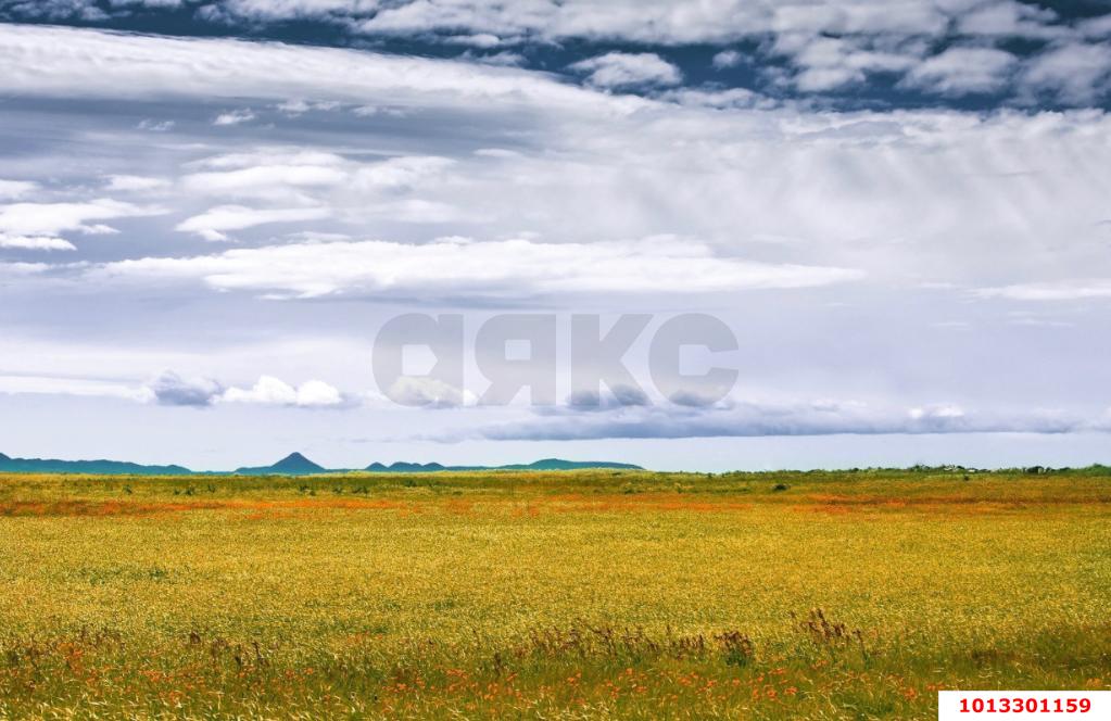 Фото №1: Коммерческая земля 200 сот. - Краснодар, Карасунский внутригородской округ, 