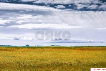 Фото №1: Коммерческая земля 200 сот. - Краснодар, мкр. Карасунский внутригородской округ, 