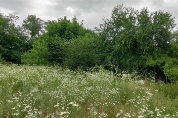 Фото №2: Участок садоводство 5.2 сот. - Пламя, мкр. Карасунский внутригородской округ, ул. Клубничная