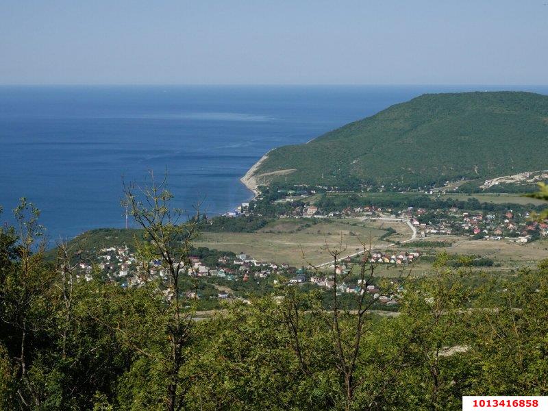 Фото №2: Личное подсобное хозяйство 5.43&nbsp;сот. - Сочи, Лазаревский, мкр. СТ Восход, 35