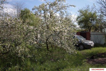 Фото №4: Личное подсобное хозяйство 10 сот. - Копанской, мкр. Прикубанский внутригородской округ, ул. Победы, 20