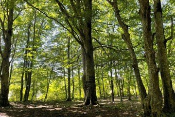 Фото №2: Земельный участок под ИЖС 6 сот. - Виктория, мкр. Прикубанский внутригородской округ, б-р улица Зелёный, 37