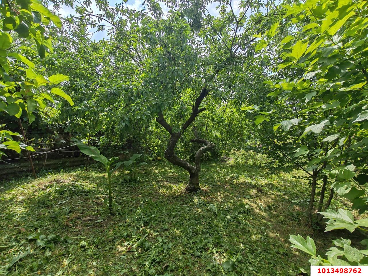 Фото №2: Личное подсобное хозяйство 6&nbsp;сот. - Елизаветинская, Прикубанский внутригородской округ, ст Стекольщик, ул. Вишнёвая, 30