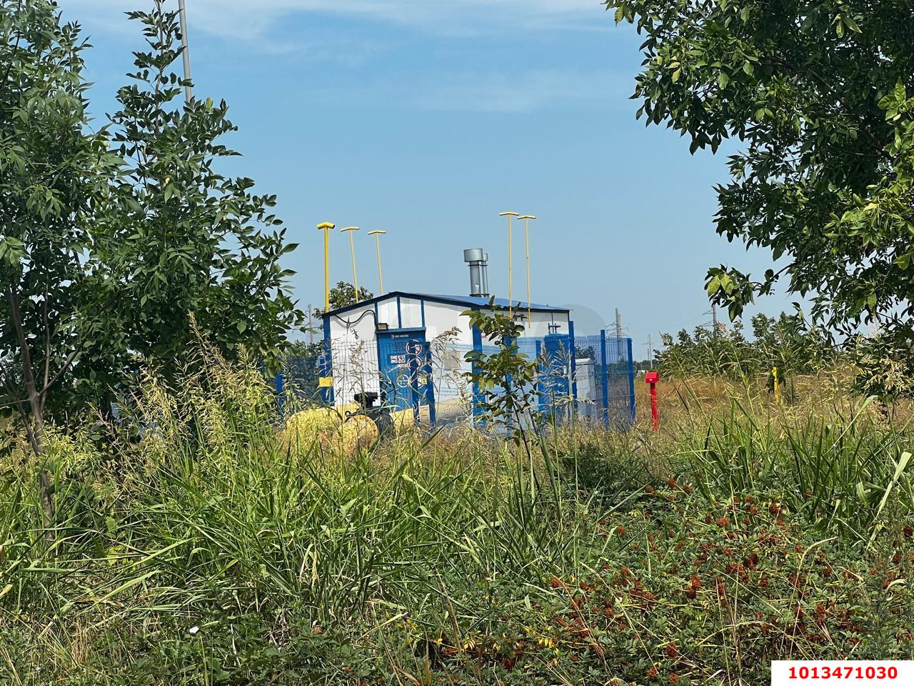 Фото №8: Личное подсобное хозяйство 8.19&nbsp;сот. - Октябрьский, Прикубанский внутригородской округ, ст Краснодарсельмаш, ул. Персиковая, 22