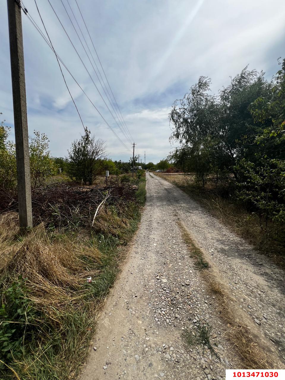 Фото №6: Личное подсобное хозяйство 8.19&nbsp;сот. - Октябрьский, Прикубанский внутригородской округ, ст Краснодарсельмаш, ул. Персиковая, 22