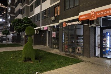 Фото №2: Торговое помещение 48 м² - Краснодар, мкр. жилой комплекс Дружный, б-р Адмиралтейский, 3к3