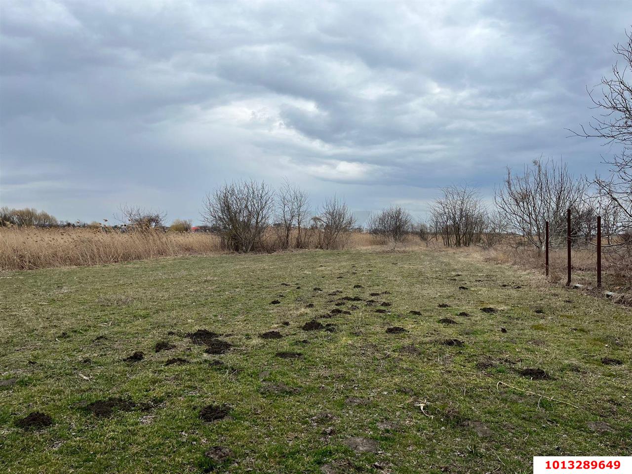 Фото №5: Участок садоводство 10 сот. - Тихорецк, квартал Юго-Восточный Городок, ул. Российская, 46