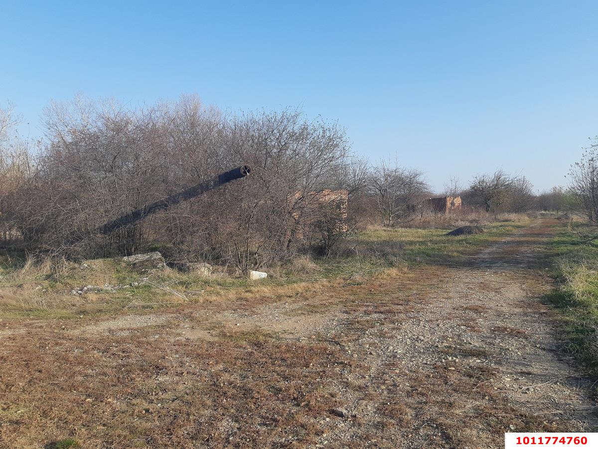 Фото №3: Коммерческая земля 665&nbsp;сот. - Ильский, ул. Длинная, 1А