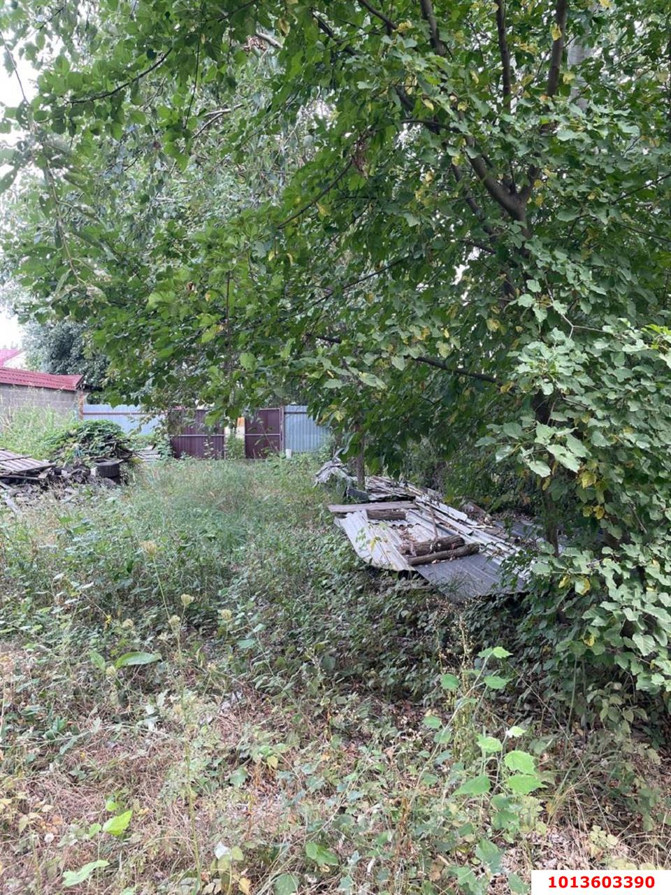 Фото №2: Земельный участок под ИЖС 6.64&nbsp;сот. - Знаменский, мкр. Карасунский внутригородской округ, ул. Заповедная, 5