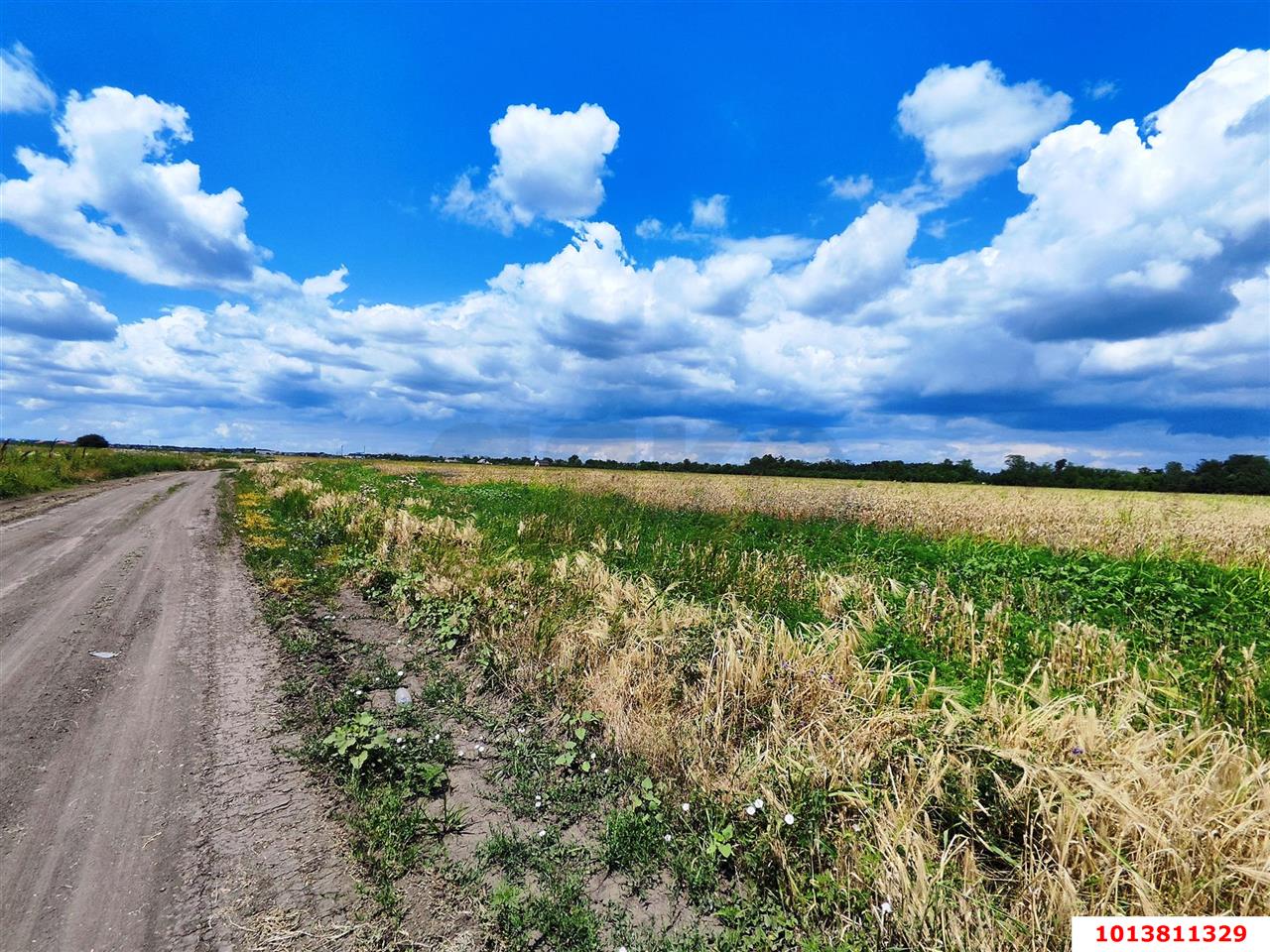 Фото №6: Земельный участок под ИЖС 10&nbsp;сот. - Краснодар, мкр. Прикубанский внутригородской округ, ул. Бакинская, 9