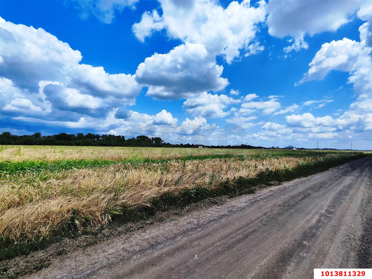 Фото №5: Земельный участок под ИЖС 10&nbsp;сот. - Краснодар, мкр. Прикубанский внутригородской округ, ул. Бакинская, 9