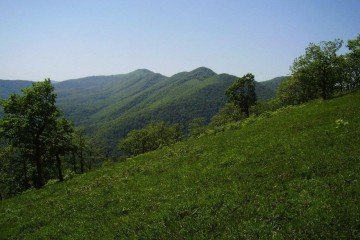 Фото №2: Земельный участок под ИЖС 6.06 сот. - Безымянное, ул. Таманская, 39