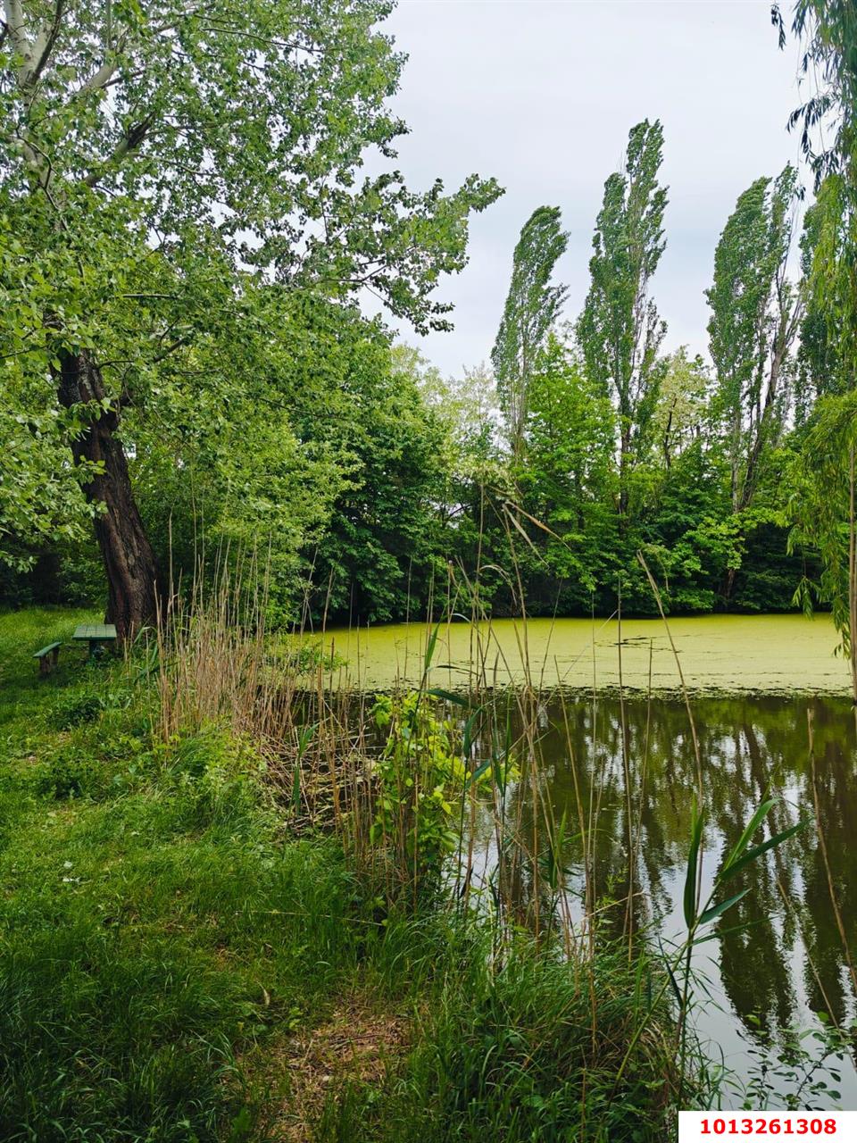 Фото №4: Земельный участок под ИЖС 27.15 сот. - Красноармейский, ул. Ворошилова, 36