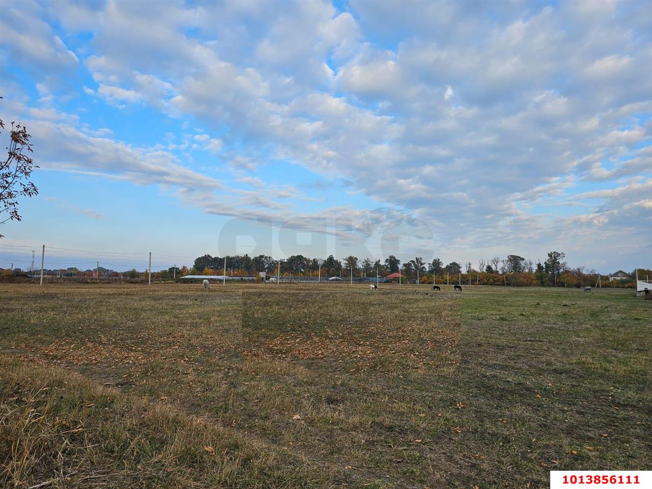 Фото №5: Земельный участок под ИЖС 4.56&nbsp;сот. - Южный