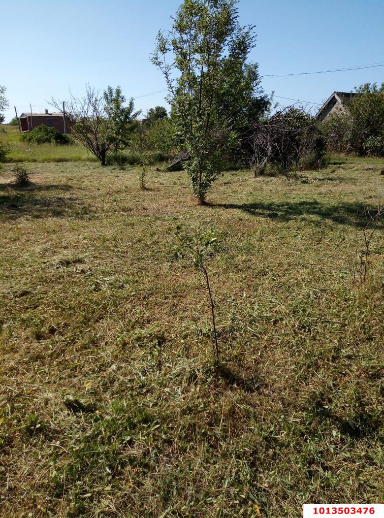 Фото №5: Участок садоводство 5.64 сот. - ТСН СК Родник, ул. Ореховая